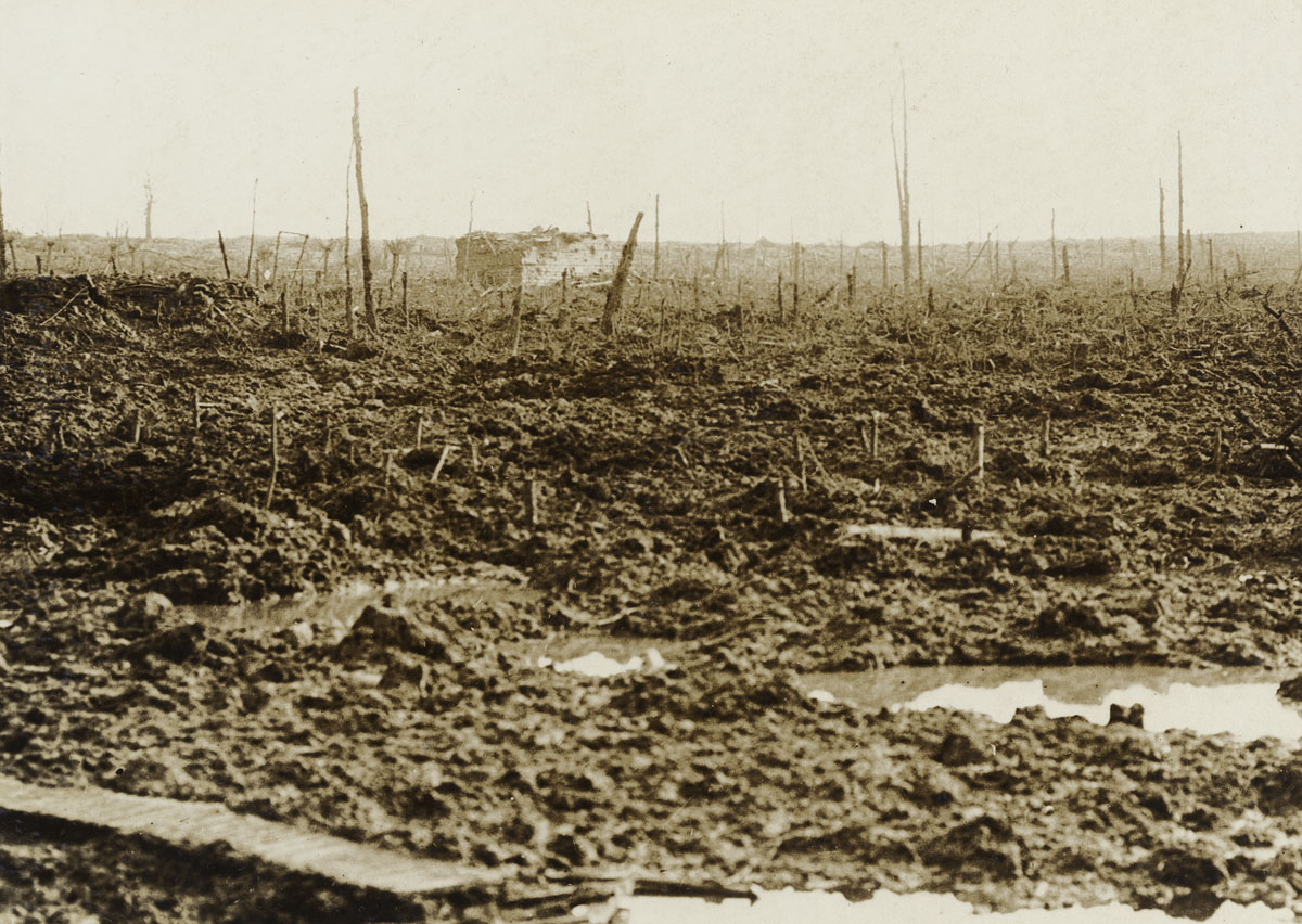 The battlefield at Remus Wood, Belgium. Among the mud and shattered trees is a German pillbox that withstood the artillery bombardment. To the left of the photo, out of sight, is a sunken area full of German dead.